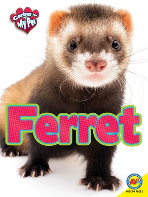 cover image of Ferret